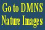 DMNS Nature Images